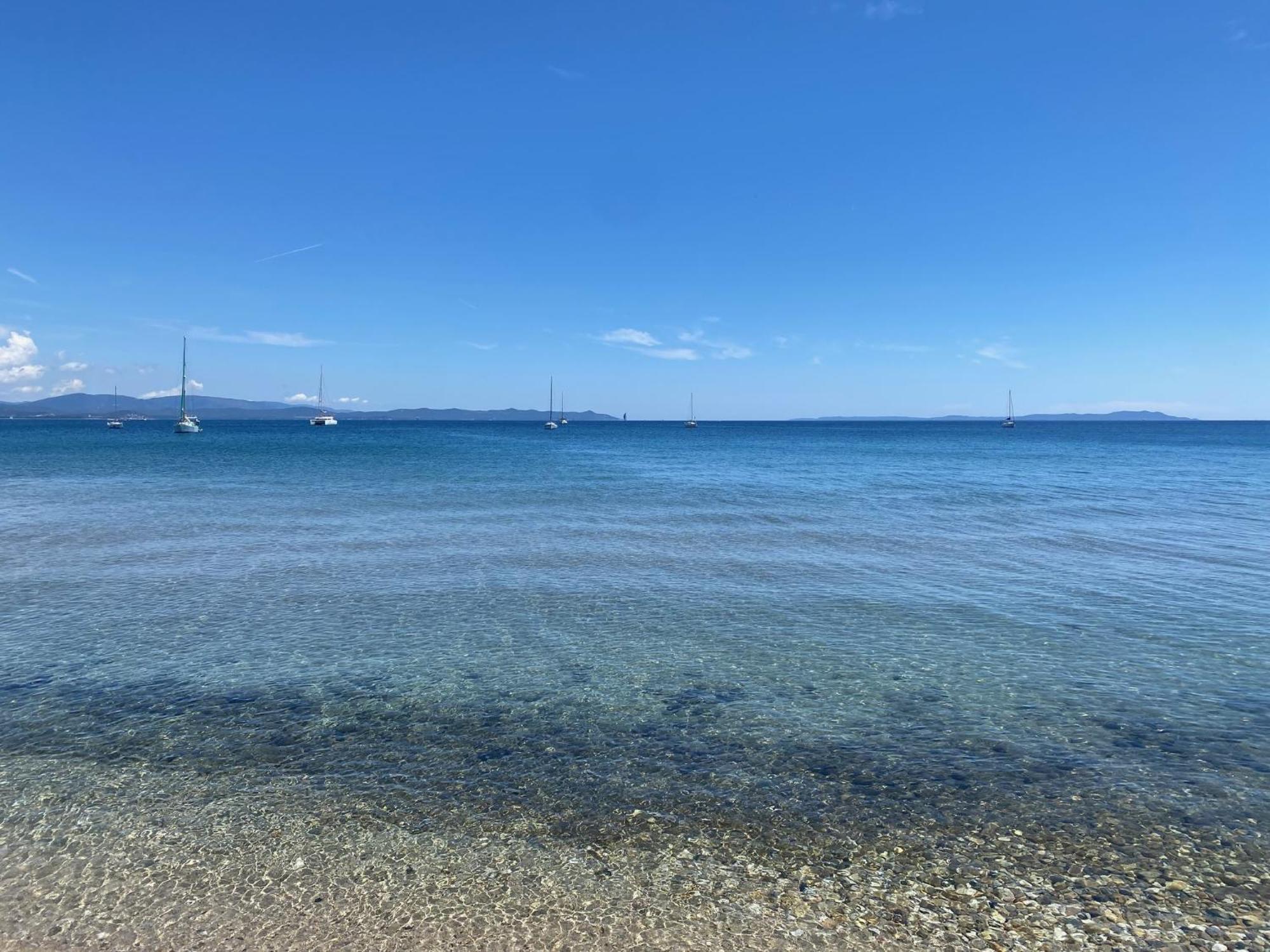Appartement Les Cigales Rez De Jardin A 10Mn Des Plus Belles Plages Hyères Exterior foto